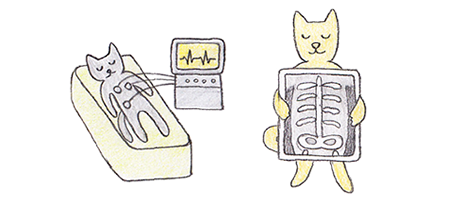 皆様にとって親しみやすく、頼りになる地域のホームドクターを目指しています。