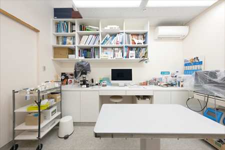 大型犬でも入れる広さです。明るくわんちゃんもリラックスできると思います。