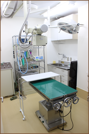 手術室にはレントゲン検査やエコー検査設備もあります。