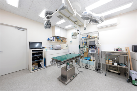 手術室にはレントゲン検査やエコー検査設備もあります。