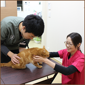 皆様にとって親しみやすく、頼りになる地域のホームドクターを目指しています。