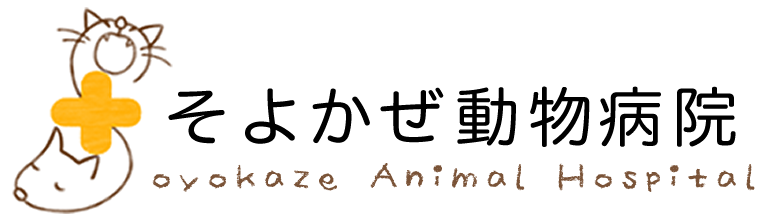 そよかぜ動物病院は仙台市青葉区荒巻本沢にある動物病院です。