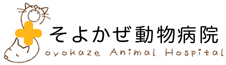 サイトマップ - そよかぜ動物病院は仙台市青葉区荒巻本沢にある動物病院です。
