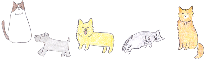 皆様にとって親しみやすく、頼りになる地域のホームドクターを目指しています。